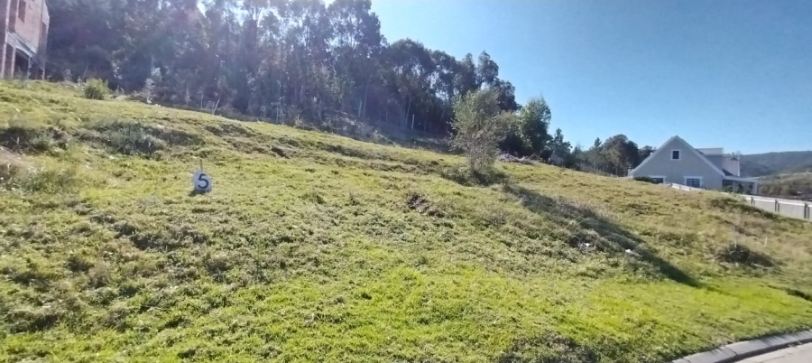 0 Bedroom Property for Sale in Green Pastures Western Cape